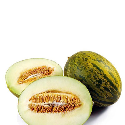 Melon Villaconejos